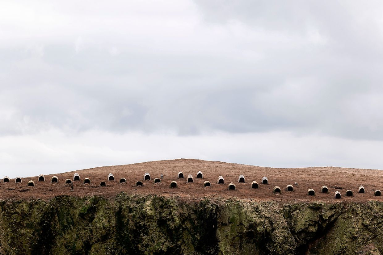 ardenas (foreground) with environmental engineer Brayhan Caceres, navigating a cliffside to inspect penguin nests at the Punta San Juan Reserve on the southern coast of Peru. — Ana Elisa Sotelo/The New York Times