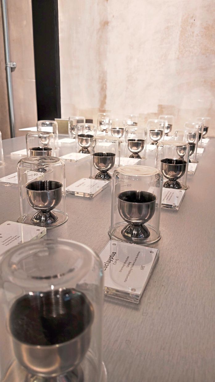Fragrances that feel soft, comforting and easy to wear every day are currently popular. Photo: Ark Lifestyle