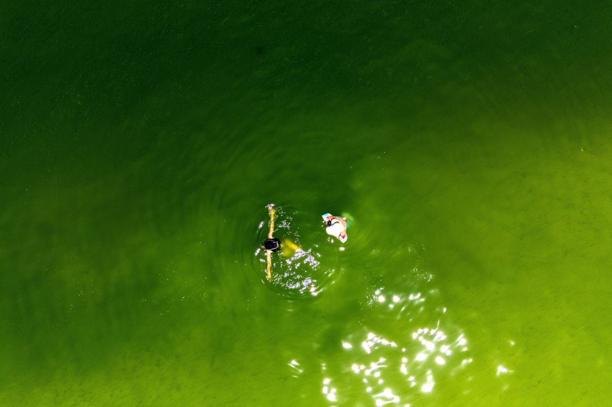 A drone view showing tourists swimming in green seawater associated with a plankton bloom, in Koh Lan on Oct 1. - Reuters