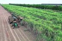 Super El Nino is set to turn sugar glut into deficit