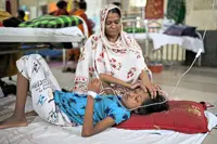 Dengue cases climb as rains persist