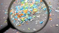 Danger from microplastics