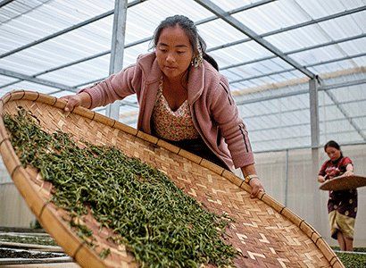 一项耗资350万欧元的新项目将加强老挝3.2万名工人的劳动权益。