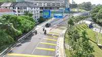 Build infrastructure without eliminating mature trees