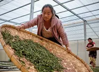 New EUR3.5mil project to strengthen labour rights of 32,000 workers in Laos