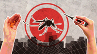 Dengue claims six more lives, 1,608 hospitalised in 24 hours