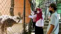 Semarang Zoo turns to frozen meat, fruit cocktails to beat scorching heat