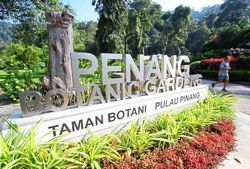 Two hikers found safe after losing way near Botanical Gardens