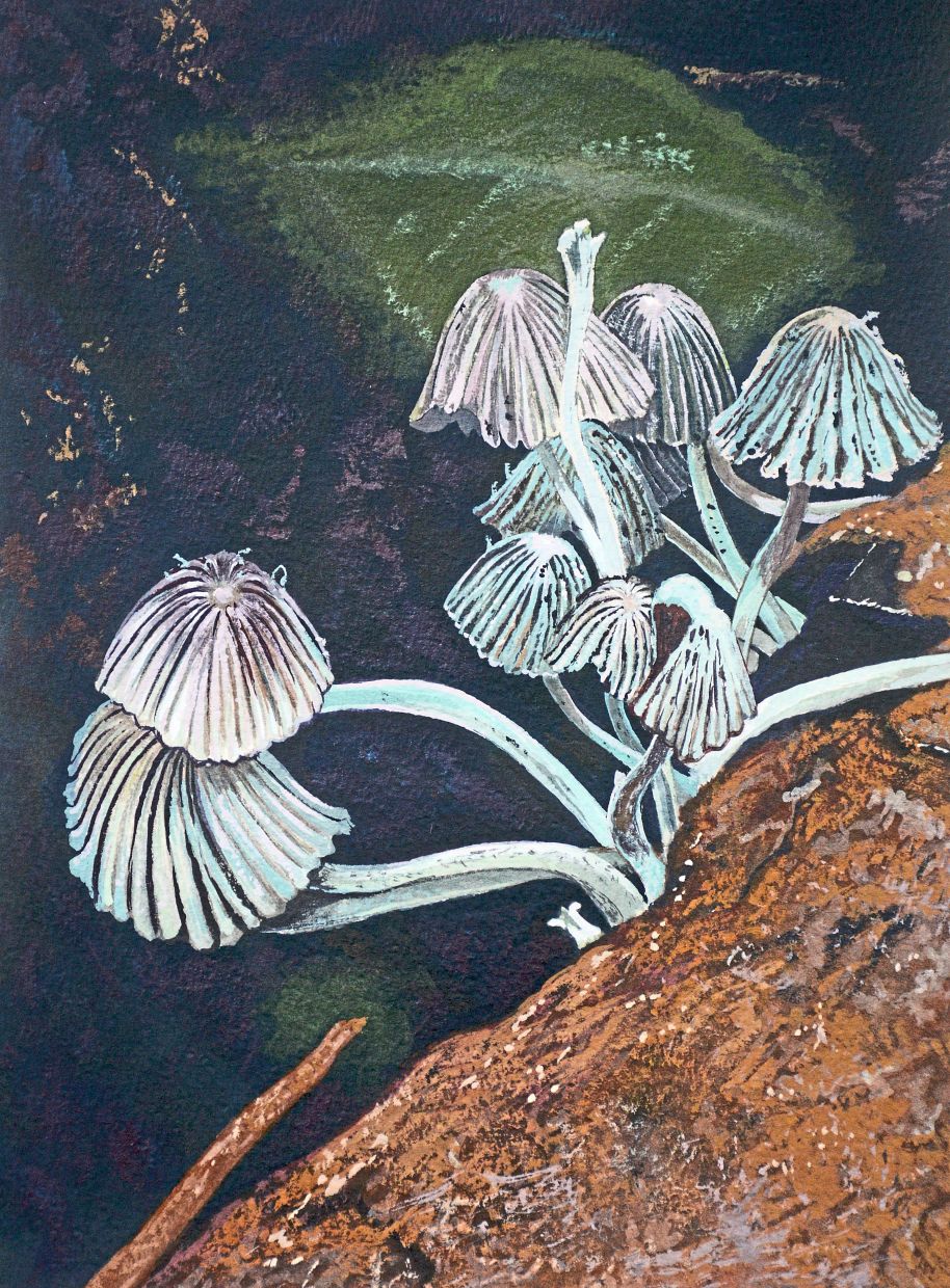 Hasanul’s 'SGSPTHKBH(34) 20250824' is a gouache painting of fairy inkcap mushrooms. Photo: Jeremy Tan