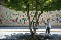 'Act before it's too late': Tokyo residents fight for more trees