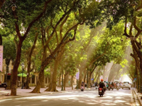 Vietnam's northern region to experience cold spell