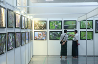Myanmar experts stress ecosystem conservation for migratory bird habitats, flyways