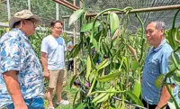 Sweet deal for Kiulu’s vanilla farms