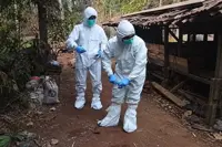 Indonesia steps up anthrax control measures in Yogyakarta after positive samples
