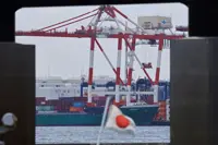 Japan eyes stronger border controls amid surging imports of low-priced goods bought online