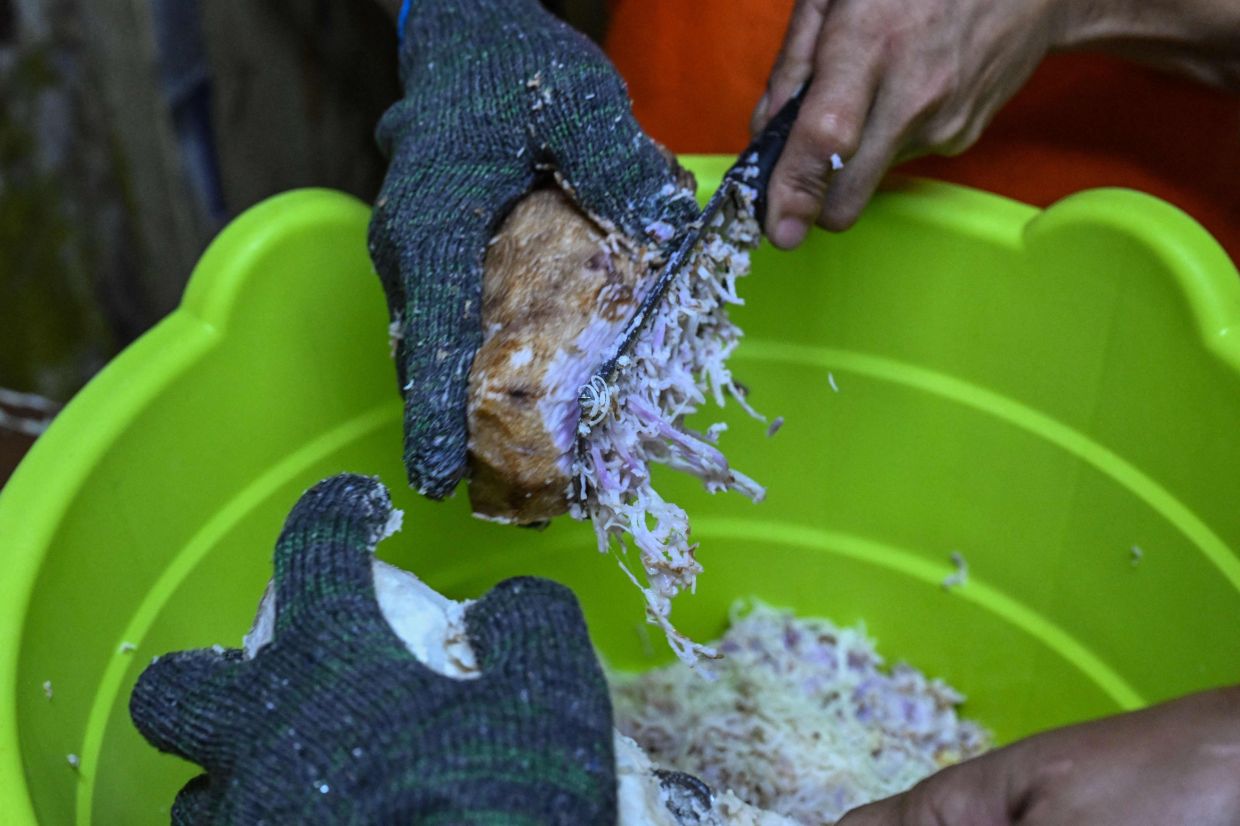 Workers grating purple yam to make ube halaya at a shop in Manila. - AFP