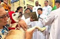 Good boys go to church