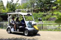 Visitor numbers down at Tokyo’s Ueno Zoo following giant pandas’ return to China