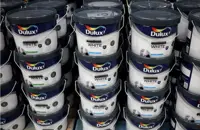 AkzoNobel's US$1.35bil decorative paints sale to Nippon Paint to complete mid-2027