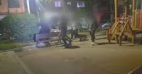 Pyeongtaek brawl involving about 10 foreign nationals leaves two arrested