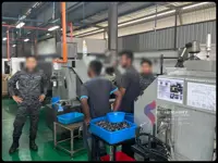 Immigration nabs 177 undocumented migrants in raids on two Gelang Patah factories