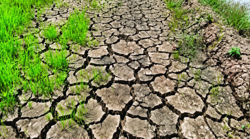 El Nino places 106 areas in Philippines under state of calamity, affects over 300,000