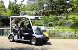 Visitor numbers down at Tokyo’s Ueno Zoo following giant pandas’ return to China