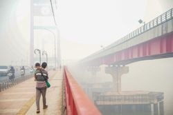 Indonesia collects US$190mil in fines over forestry violations