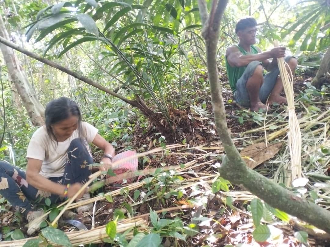 Crafters venture deep into the jungle in search of rattan. Photo: Helen Madun