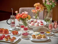 Pink afternoon tea, fashion show to raise funds for breast cancer diagnostic support