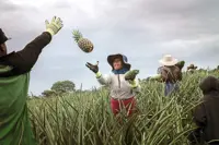 Manila growth forecast cut