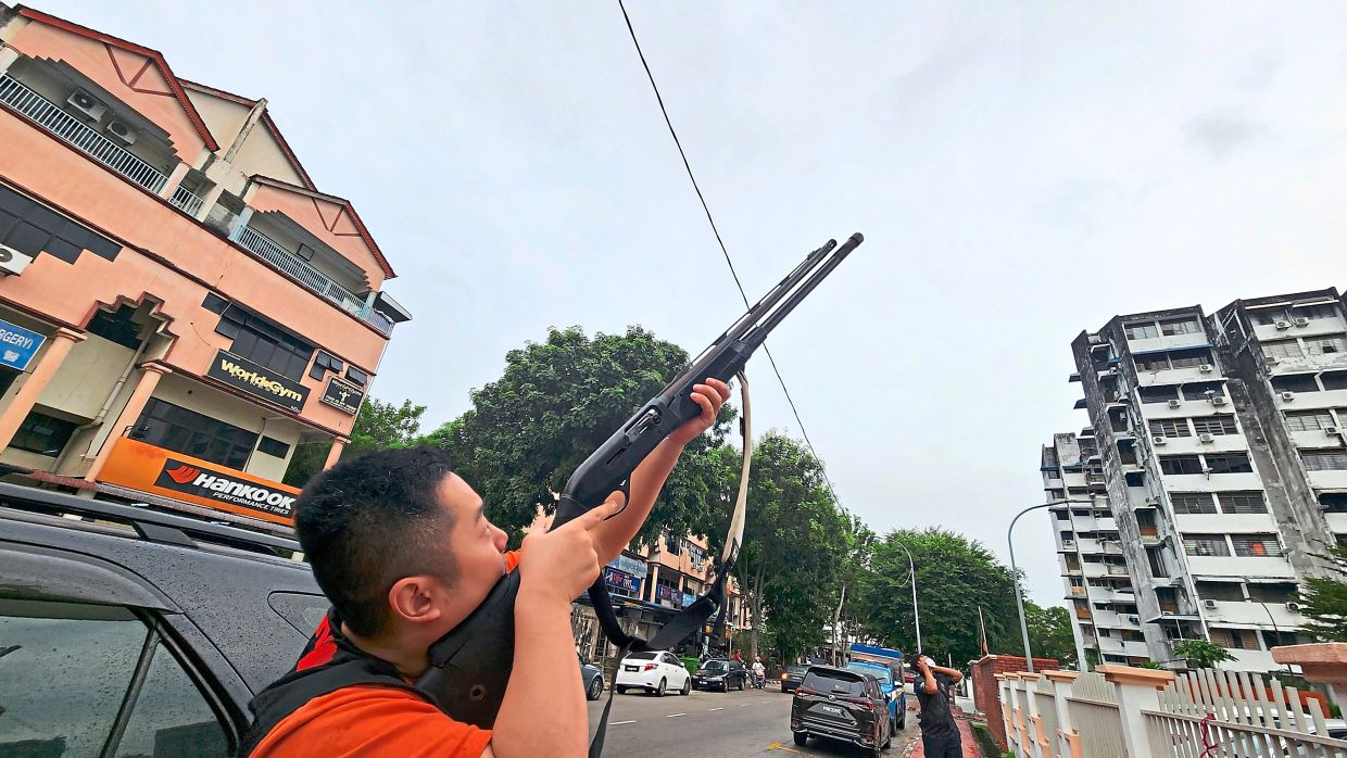 MBPP continues culling to control pigeon, crow population