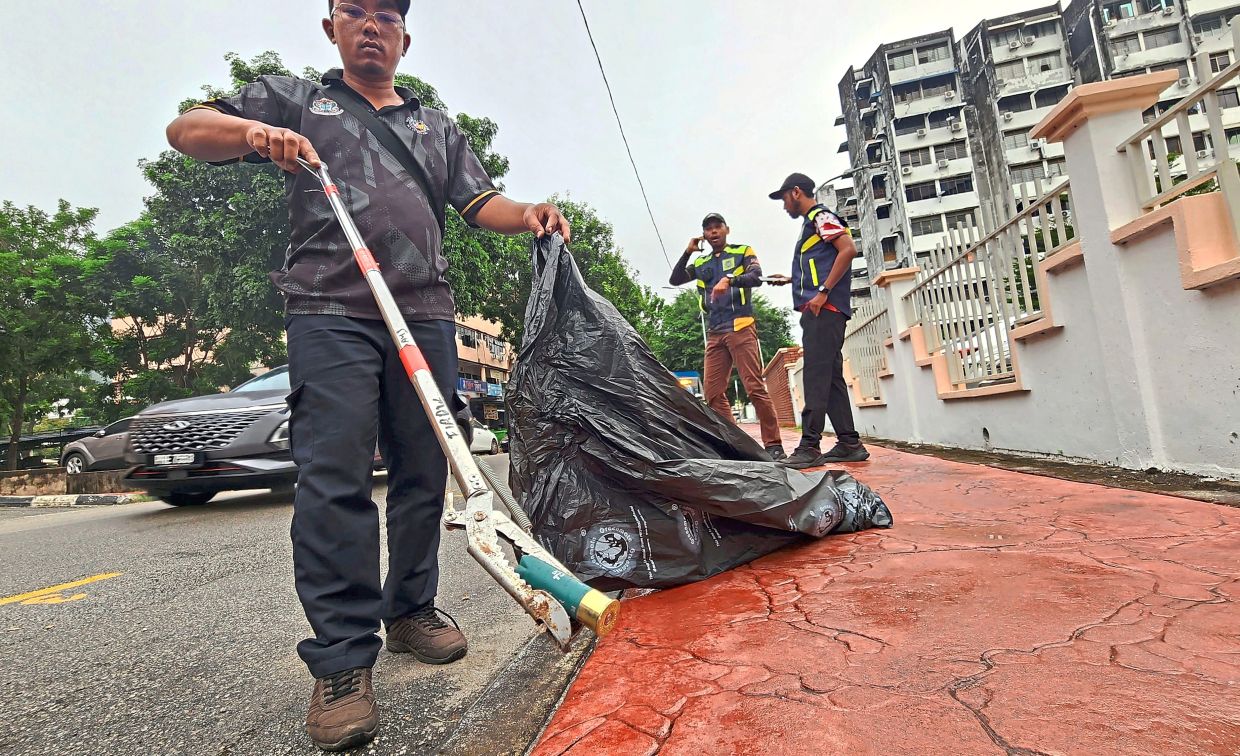 Recovering spent shells after the culling operation to reduce the bird population. — Photos: LIM BENG TATT/The Star 