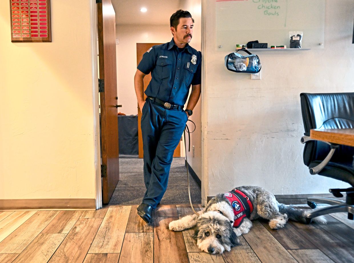 Oro with his handler Strook.
