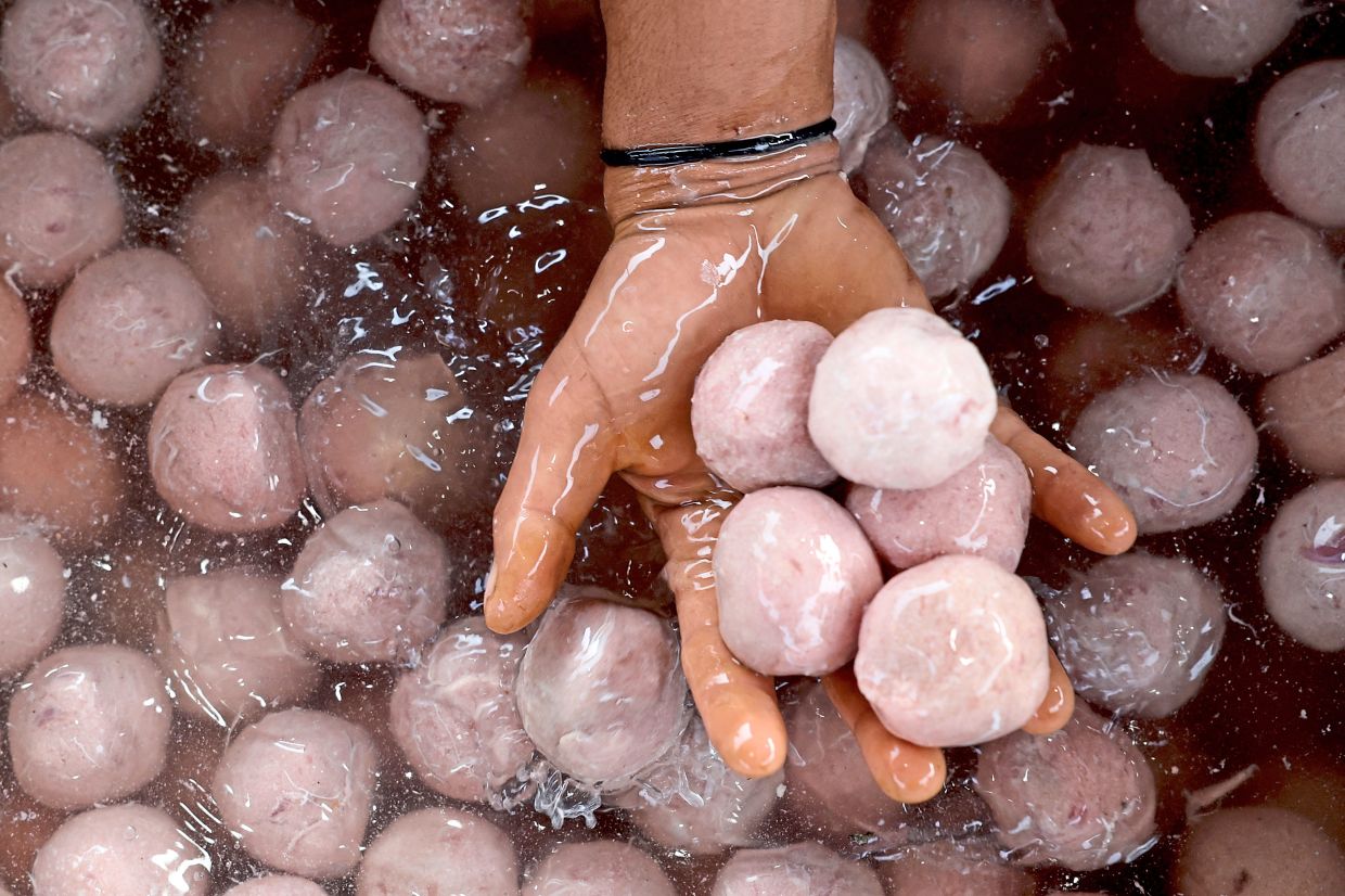 A Kashmiri Waza, or chef, displays uncooked ristas, a traditional Kashmiri Wazwan dish of pounded meatballs, before cooking at a wedding in downtown Srinagar, Indian Kashmir, September 24, 2025. REUTERS/Sharafat Ali