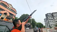 MBPP continues culling to control pigeon, crow population