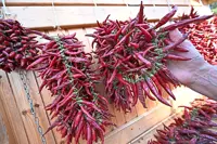 A red hot issue: Hungary's paprika producers battle to save the signature spice