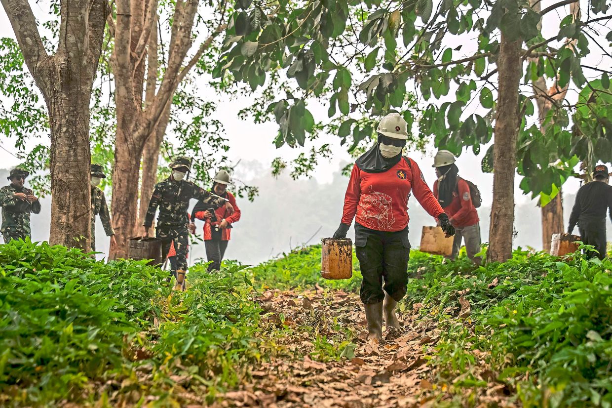 The women volunteers carry buckets of water toward a fire location. Photo: Heribertus/AFP
