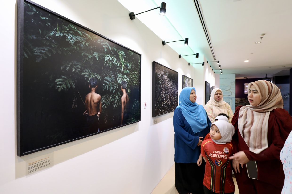 A view of photographer Ian Teh's exhibition 'The Line - Beyond The Forest’s Edge' atBank Negara Malaysia Museum and Art Gallery in KL. Photo: The Star/Leong Wai Yee 