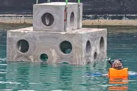 AGC reviewing regulations for Mersing dugong sanctuary