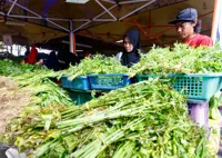 Budget 2027: RM750mil allocated for Jualan Rahmah, Agro Madani events to help rural, urban poor
