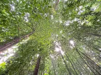 Budget 2027: Rangers, nature conservation get larger budgets
