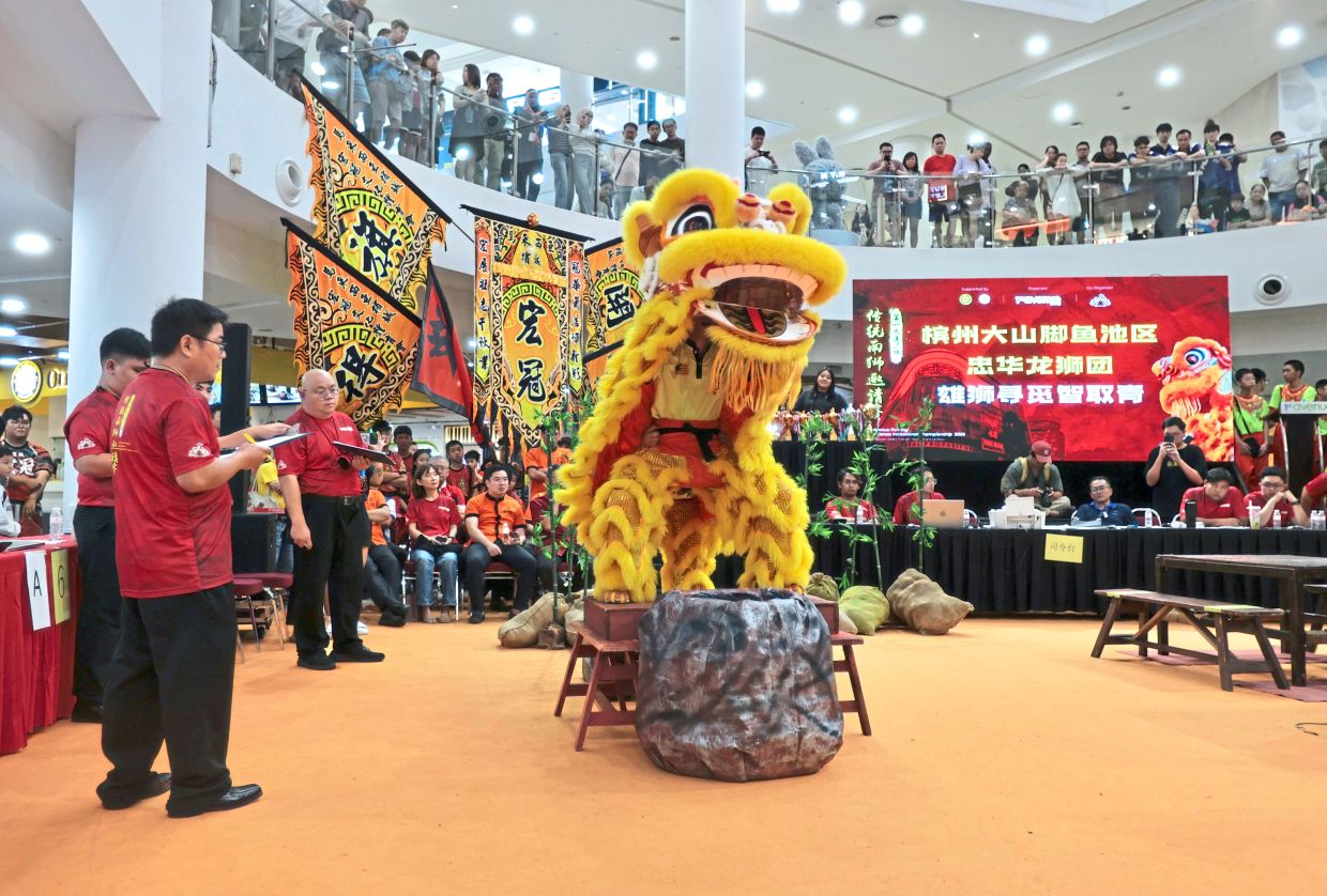 Persatuan Tarian Singa Jong Hwa Seberang Perai Pulau Pinang’s lion reacting happily after seeing its own reflection in a well.