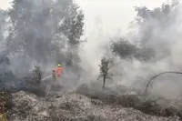 Who pays to stop the haze?