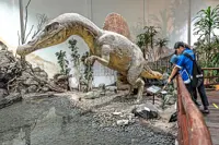 Embracing the ‘dinosaur rush’