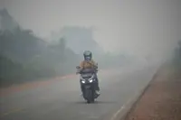 Hazardous air quality persists in parts of Indonesia amid forest fires
