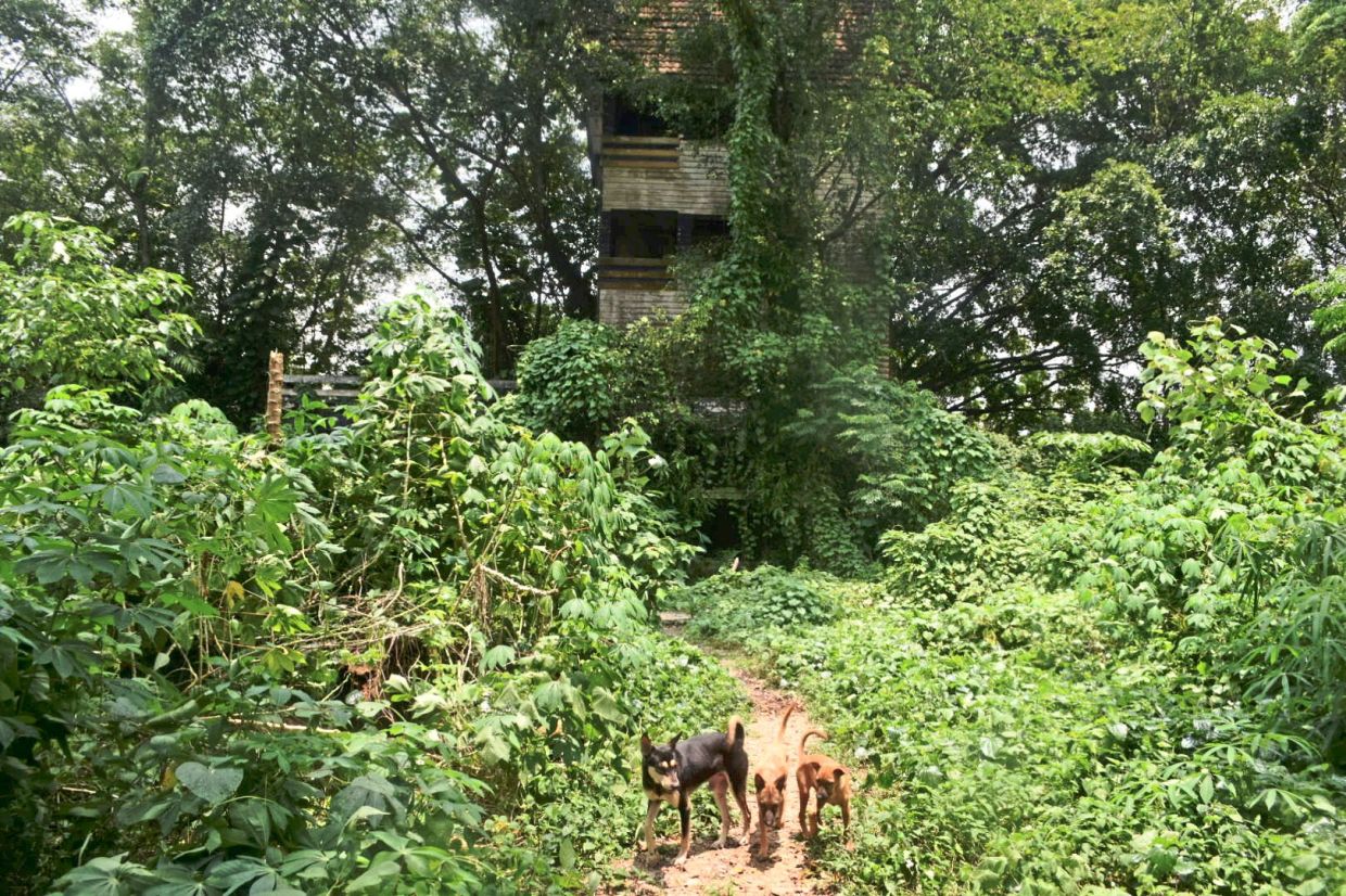 The exterior of Christine Villa, commonly referred to as Villa Nabila near Danga Bay in Johor Baru.