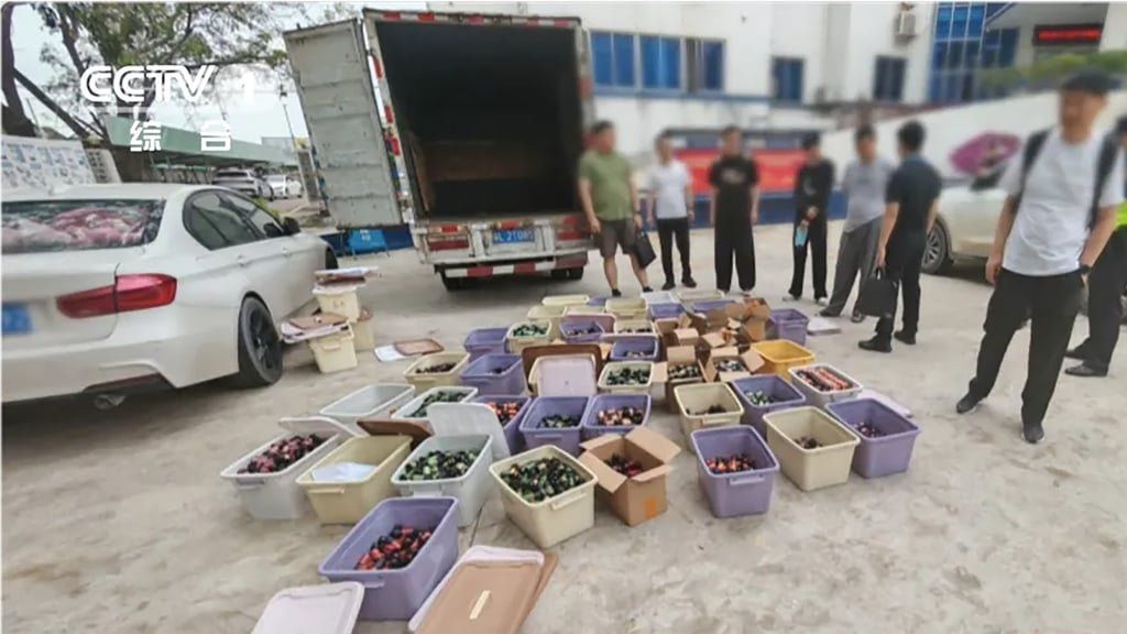 Investigators revealed that the ringleader, Huang, netted over 5 million yuan (US$750,000) in illegal profits in just over a year. - Photo: CCTV