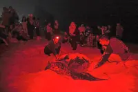 Another leatherback turtle landing in Rantau Abang