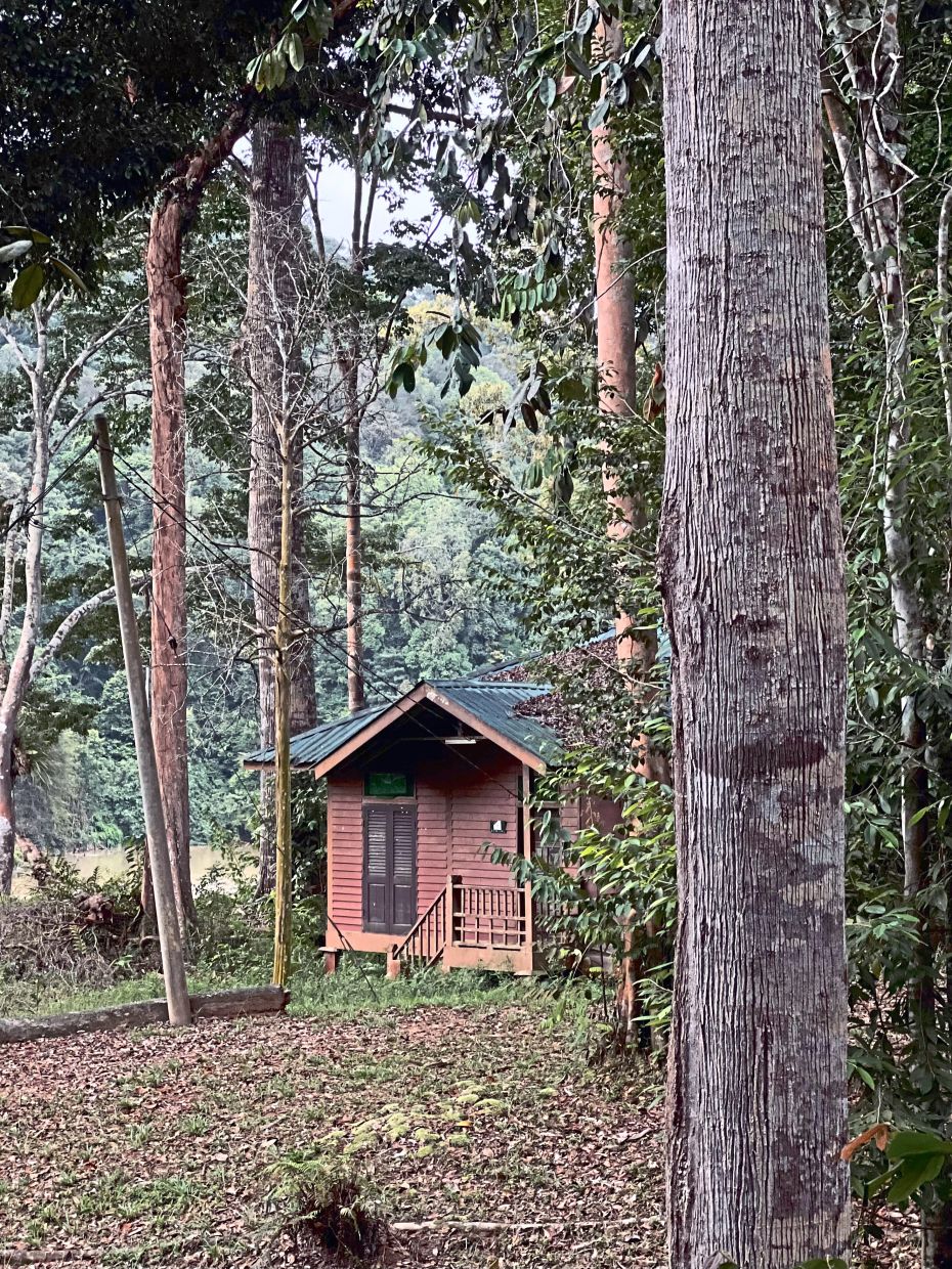 Endau-Rompin hosts a variety of flora and fauna. — GISELE SOO 